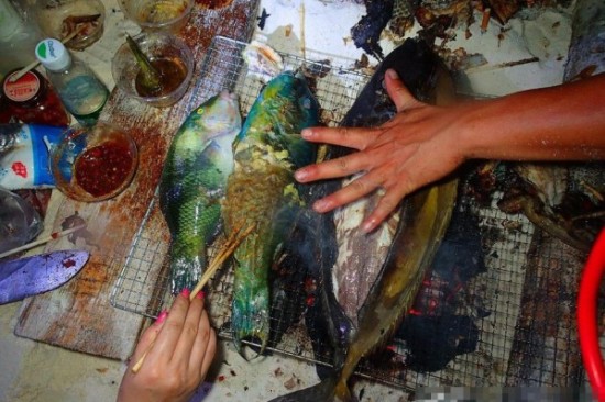 bad chinese tourists fishing endangered species paracel islands